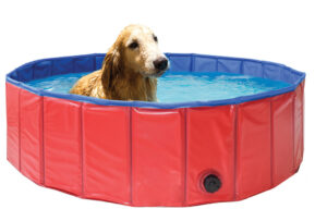 Bazén pre psy skladací – 120 cm Bazény a vírivky