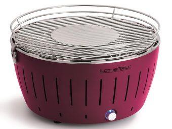LotusGrill XL s taškou + 1 sada batérií + 1kg uhlia + 1 gél 20 LotusGrill XL s taškou + 1 sada batérií + 1kg uhlia + 1 gél 20
