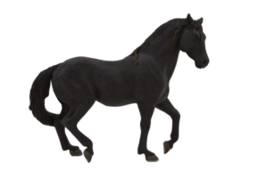 Mojo Animal Planet Andalúzsky čierny kôň Zvieratá a figúrky