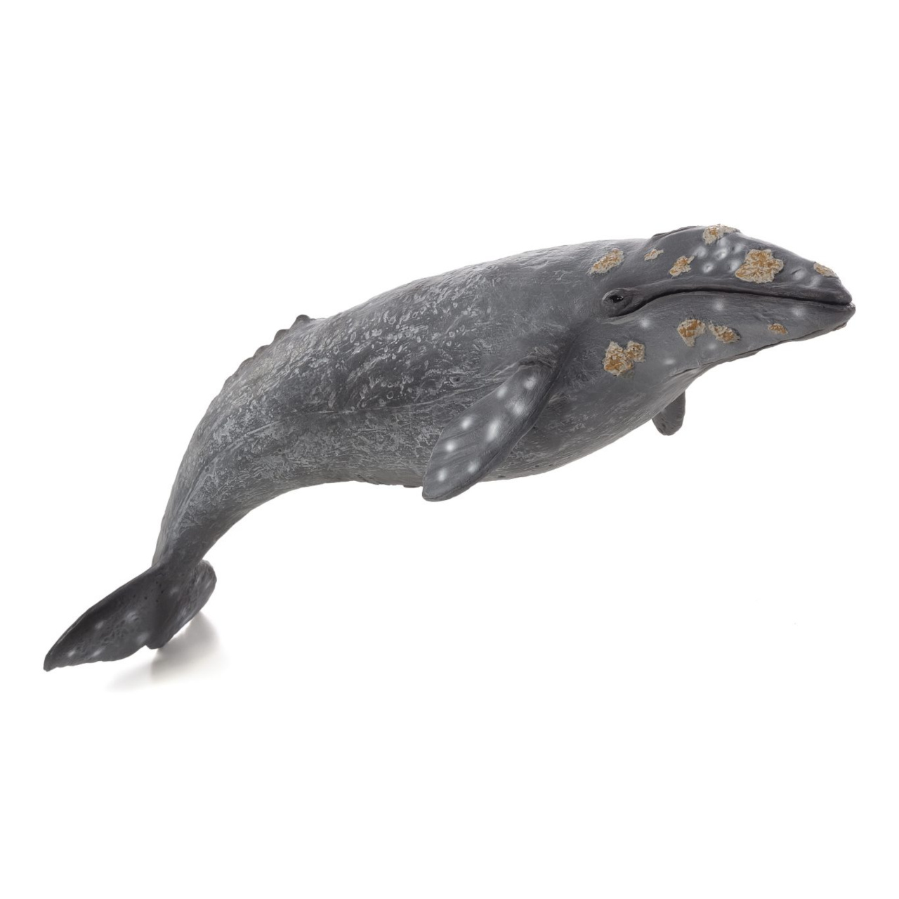 Mojo Animal Planet Veľrybovec sivý