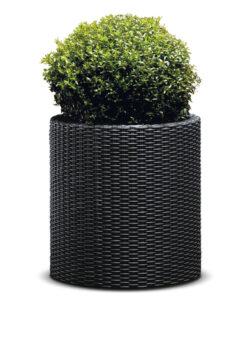 Kvetináč Keter Cylinder M grafitový 2
