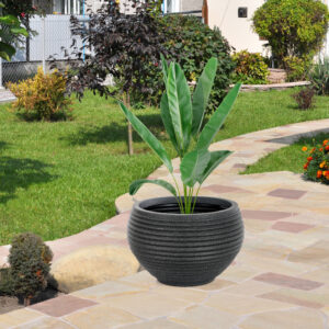Landscaping in the garden, park, square, recreation area, memora