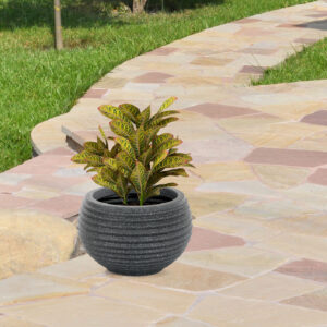 Landscaping in the garden, park, square, recreation area, memora
