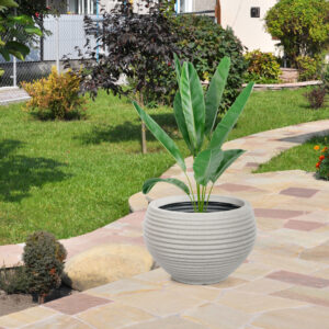Landscaping in the garden, park, square, recreation area, memora