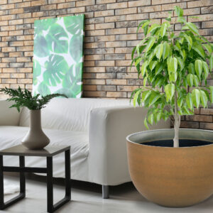 Interior of modern room with stylish sofa and table
