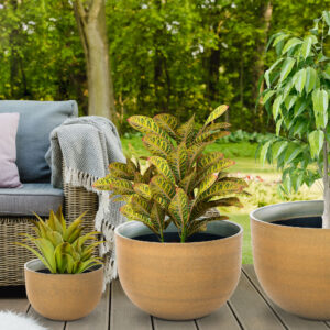 Beautiful green garden with wicker terrace furniture and trees