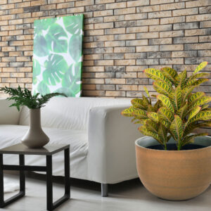 Interior of modern room with stylish sofa and table