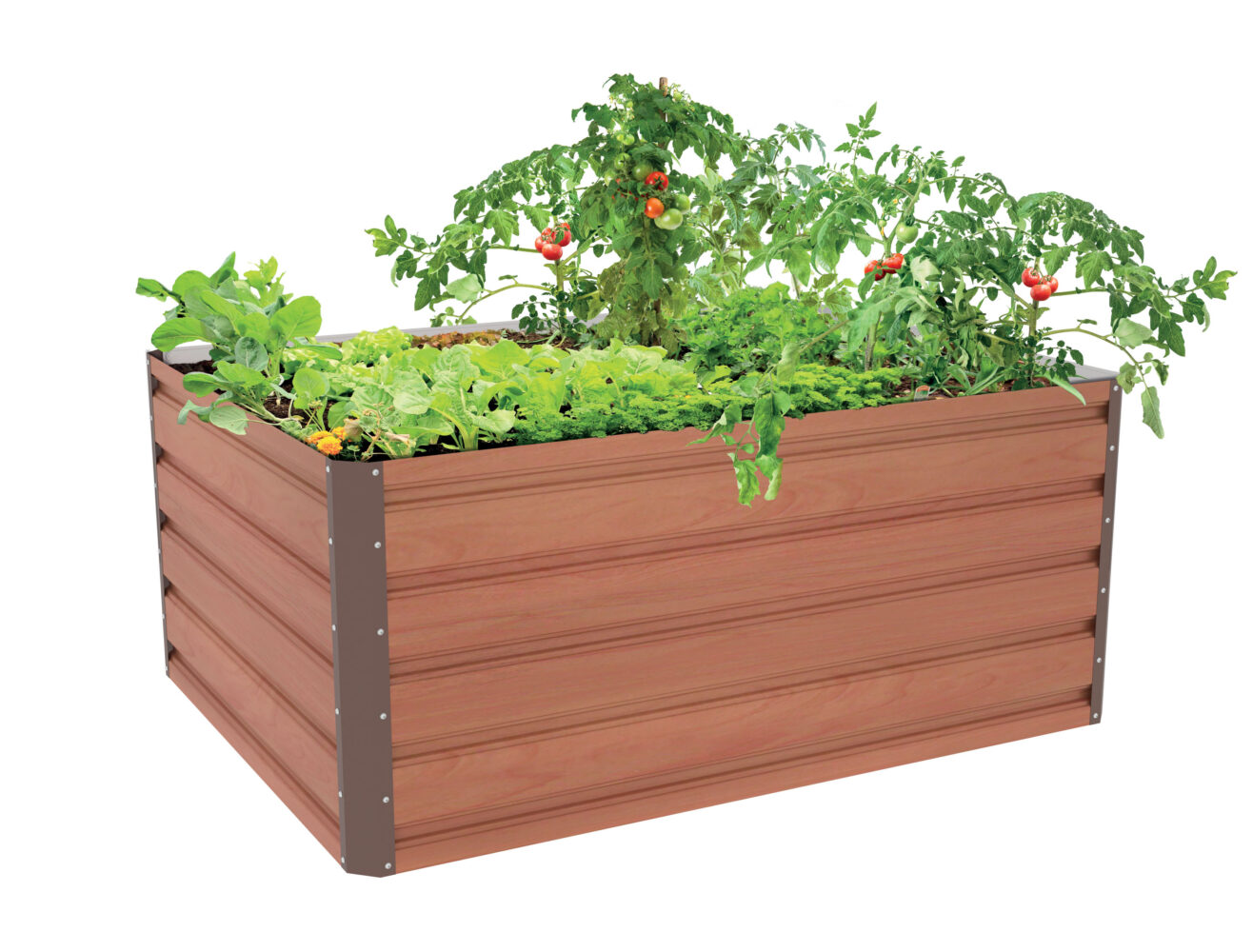 Vyvýšený záhon G21 Daisy 120 x 90 x 52 cm, plechový, hnedý Vyvýšený záhon G21 Daisy 120 x 90 x 52 cm, plechový, hnedý