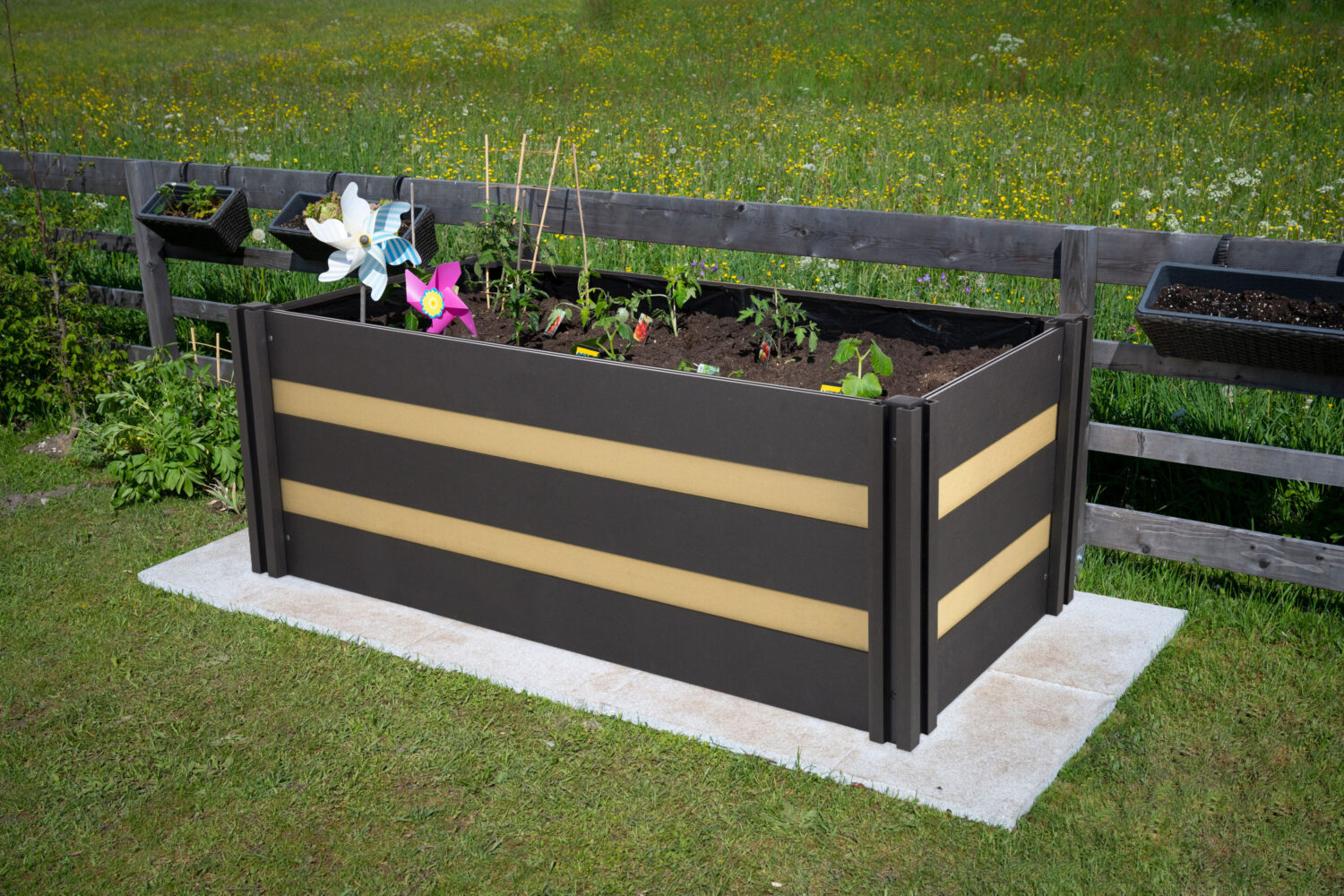 Rectangular raised bed made of wood on granite stones with small plants in the garden Rectangular raised bed made of wood on granite stones with small plants in the garden
