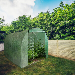 Greenhouse in a garden with trees behind