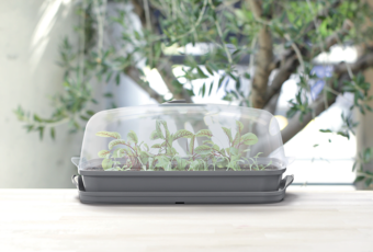 Sadbovač Prosperplast RESPANA TABLE GREENHOUSE šedý kámen 39,1 cm 5 Sadbovač Prosperplast RESPANA TABLE GREENHOUSE šedý kámen 39,1 cm 5