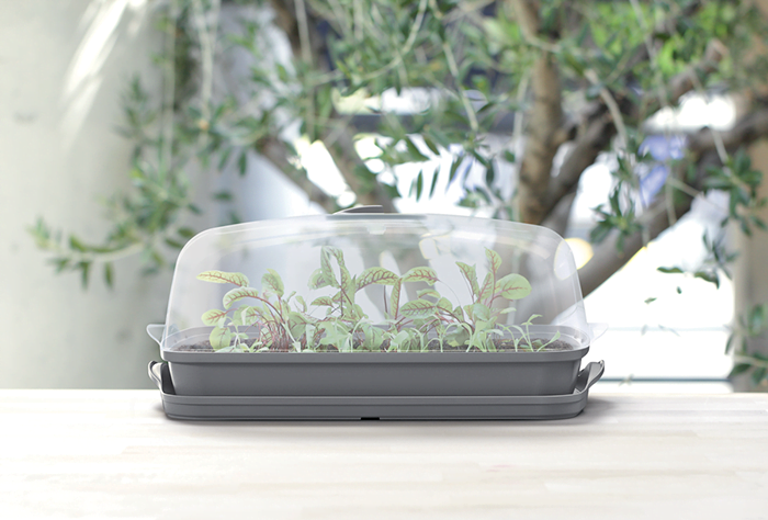 Sadbovač Prosperplast RESPANA TABLE GREENHOUSE šedý kámen 39,1 cm 2 Sadbovač Prosperplast RESPANA TABLE GREENHOUSE šedý kámen 39,1 cm 2