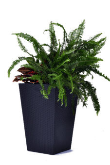 Kvetináč Keter Rattan Planter S 23,6 l grafitový 4 Kvetináč Keter Rattan Planter S 23,6 l grafitový 4