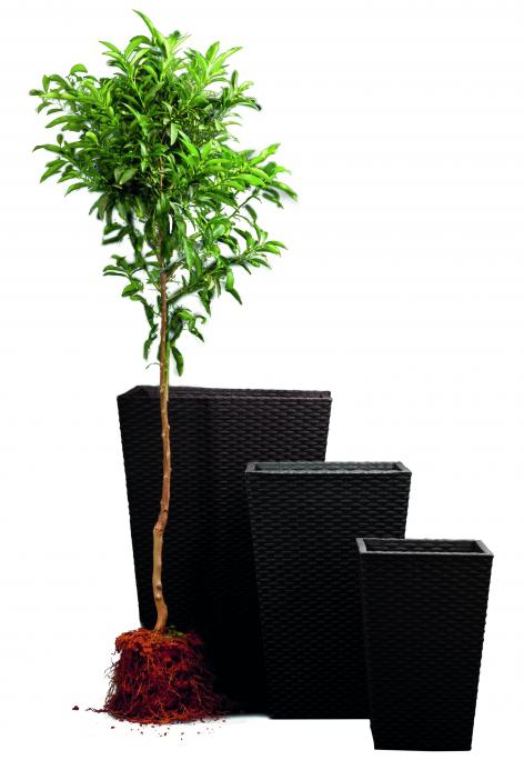 Kvetináč Keter Rattan Planter S 23,6 l grafitový 2 Kvetináč Keter Rattan Planter S 23,6 l grafitový 2