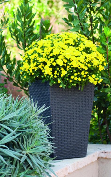 Kvetináč Keter Rattan Planter S 23,6 l grafitový 3 Kvetináč Keter Rattan Planter S 23,6 l grafitový 3